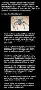Some fun facts and love for the glorious huntsman! (Picture: not mine)